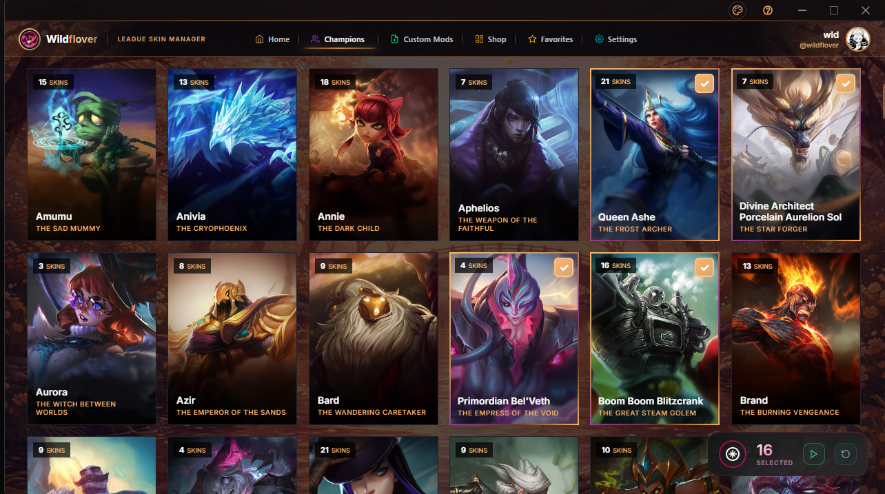 Champions library showing all League of Legends champions